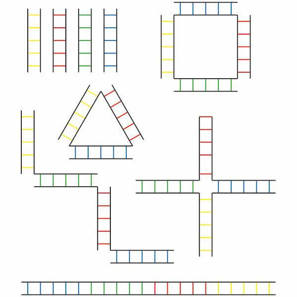 HART Four Colour Agility Ladder Set - Image 6